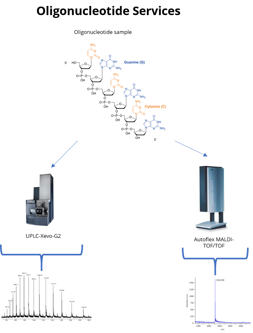 Oligonucleotide analysis workflow