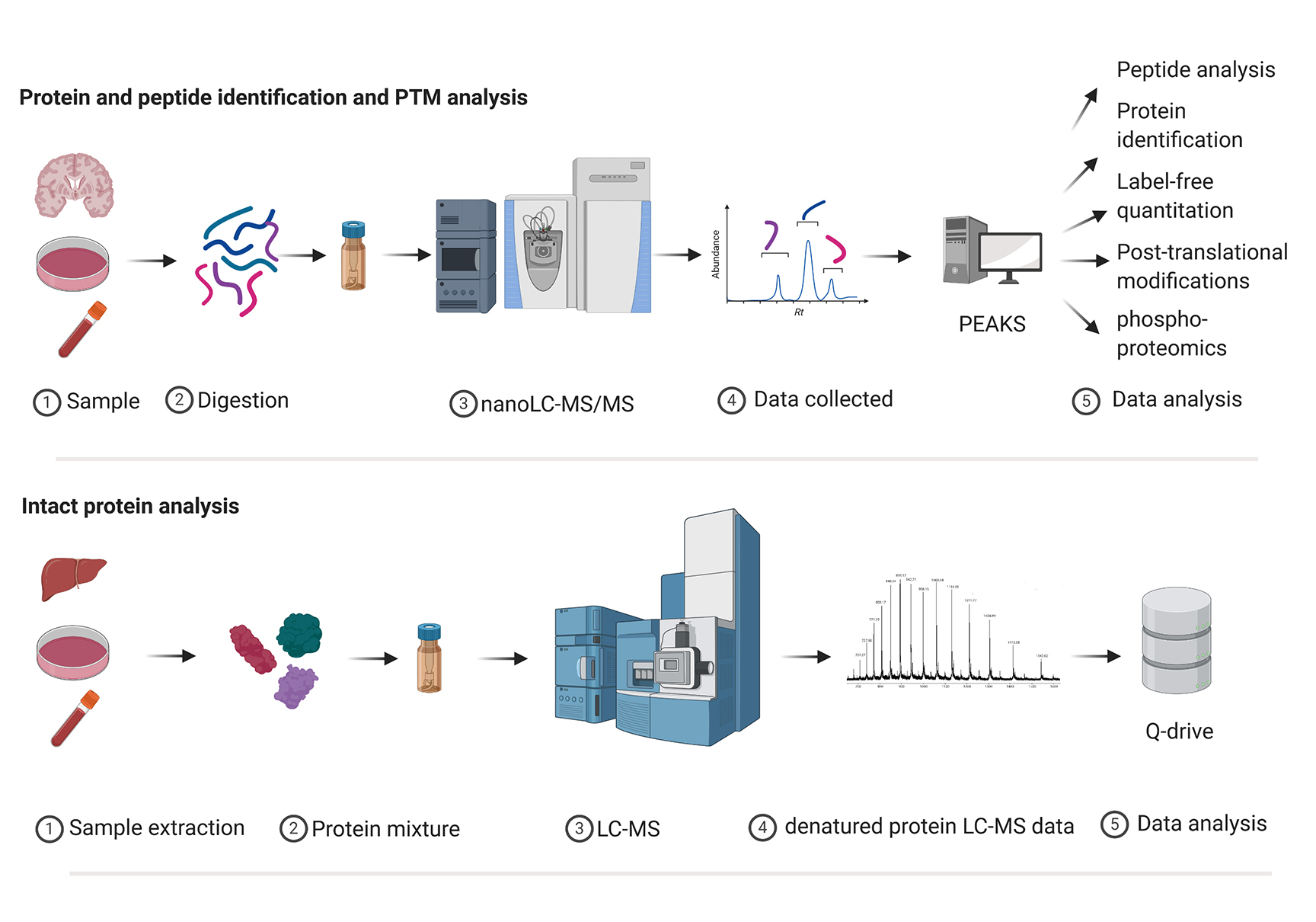 Proteomics Mass Spectrometry Research Facility