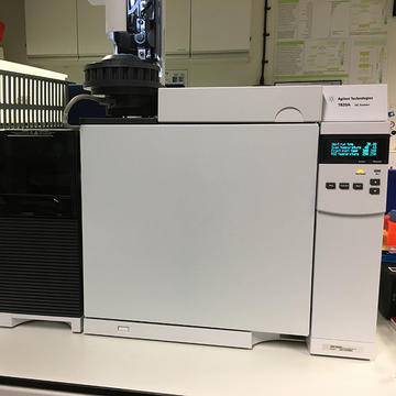 GC-MS (Agilent 5977B) | Mass Spectrometry Research Facility