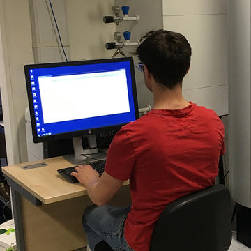 Image of someone looking at a computer monitor